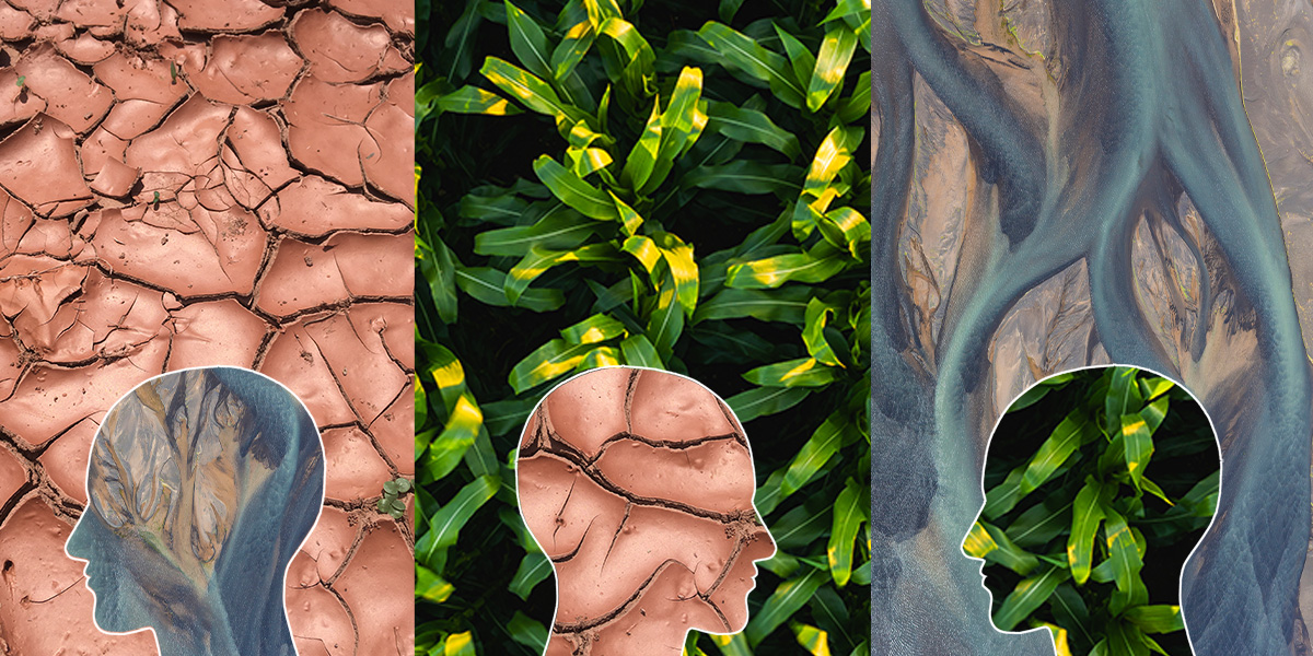 Collage illustration of three face profiles with various images from nature.